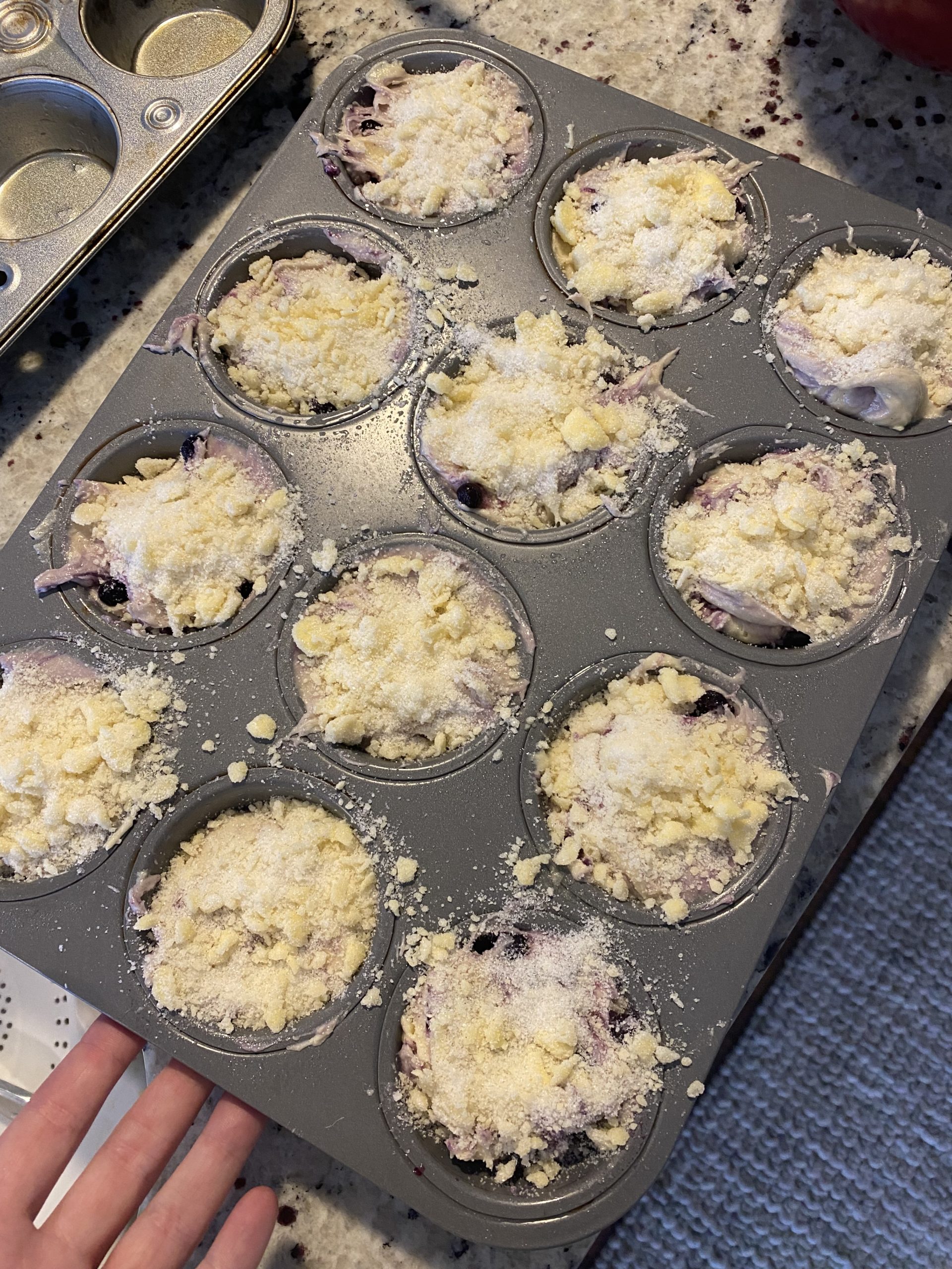 Gluten-Free Wild-Blueberry Muffins